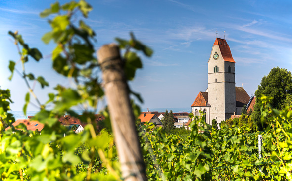 Cycling holidays in Germany, Lake Constance