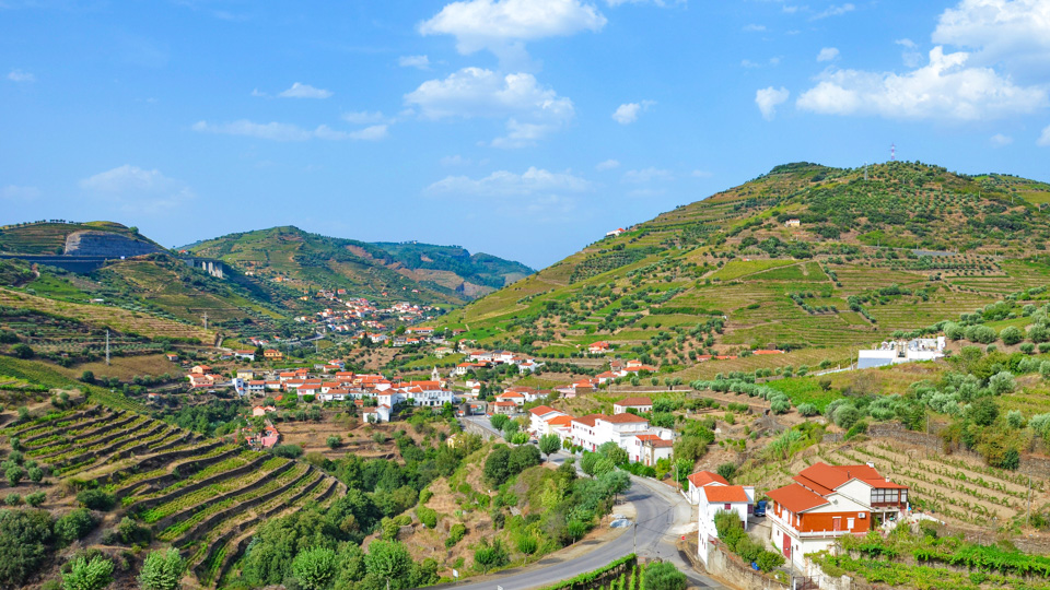 Bicycle Tour through Douro valley Cycling Holidays