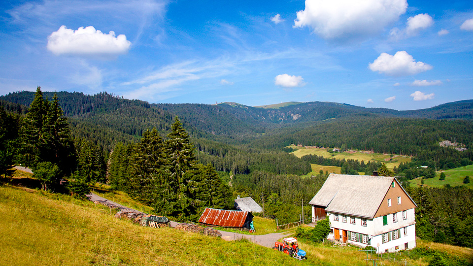 Black Forest Cycling Holiday Cycling Holidays
