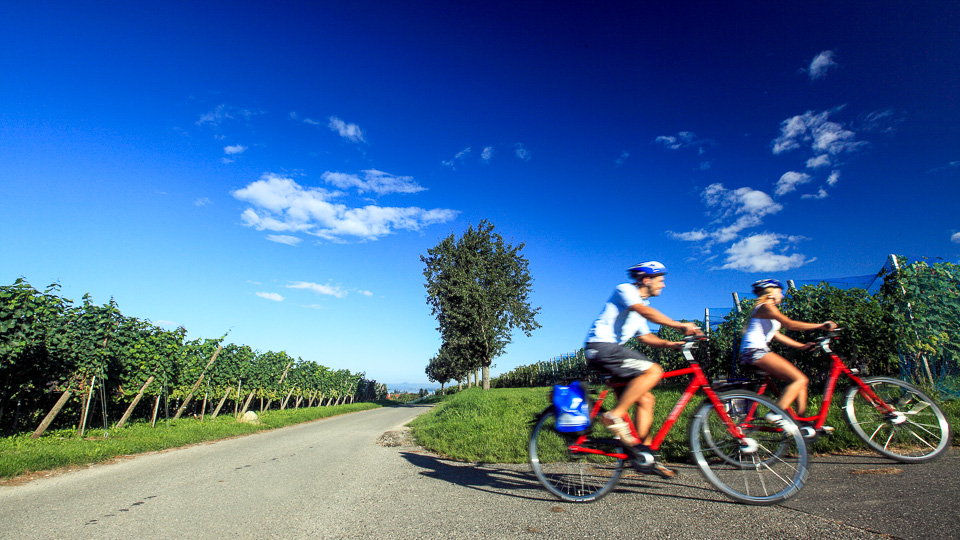 Cycling Trip at Lake Constance Cycling Holidays