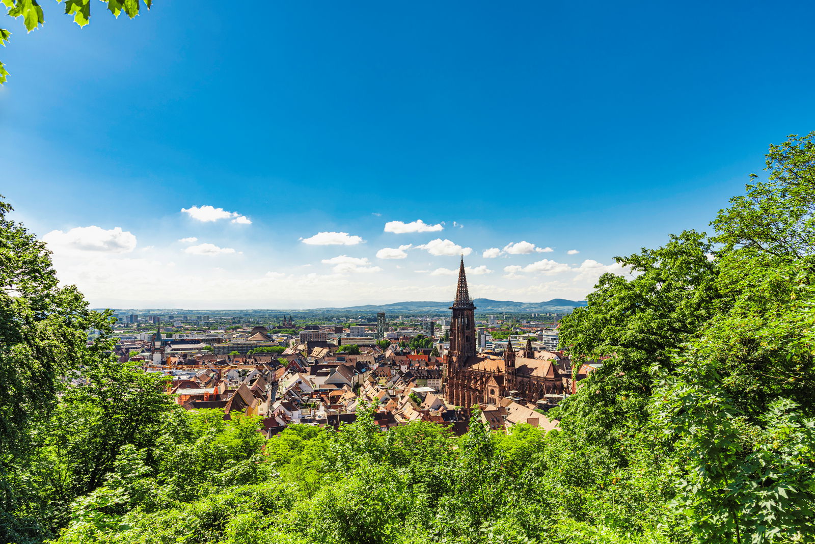 The Black Forest Panorama Cycle Route Cycling Holidays