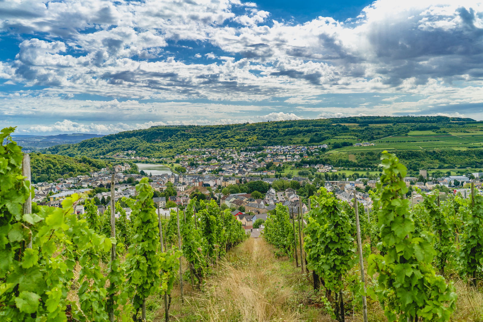 Cycling Tour Around The Moselle Cycling Holidays