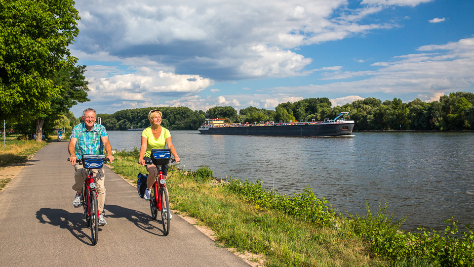 Cycling along the rhine outlet