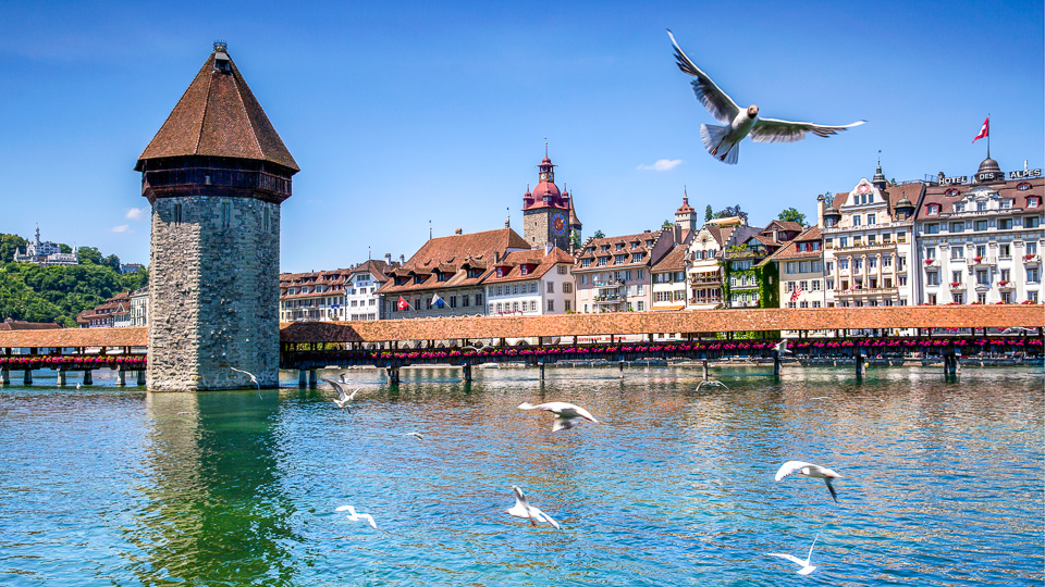 Cycling Tour at Lake Lucerne | Cycling with luggage service