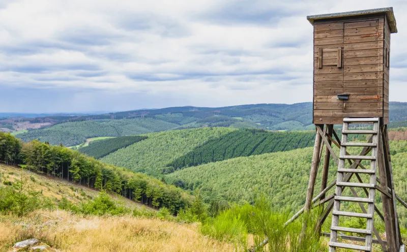 A viewpoint near the source of the Lahn