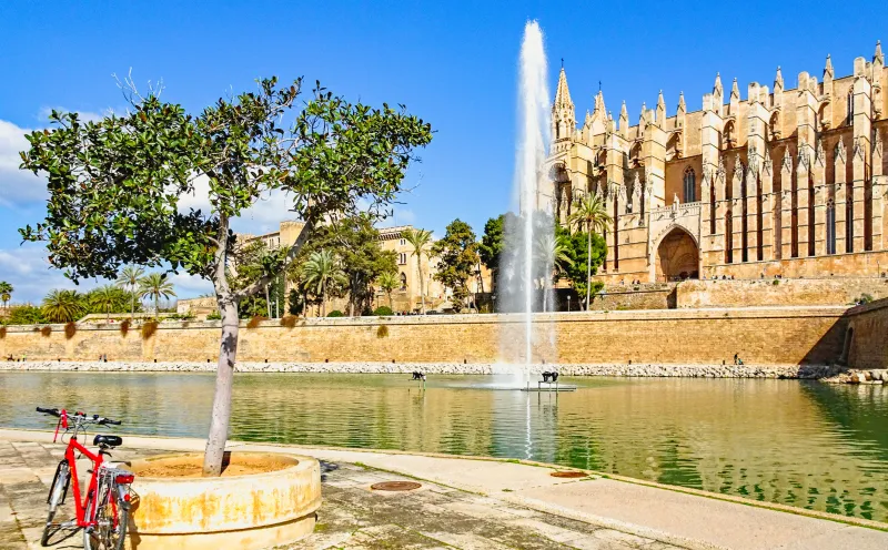 Cathedral Palma