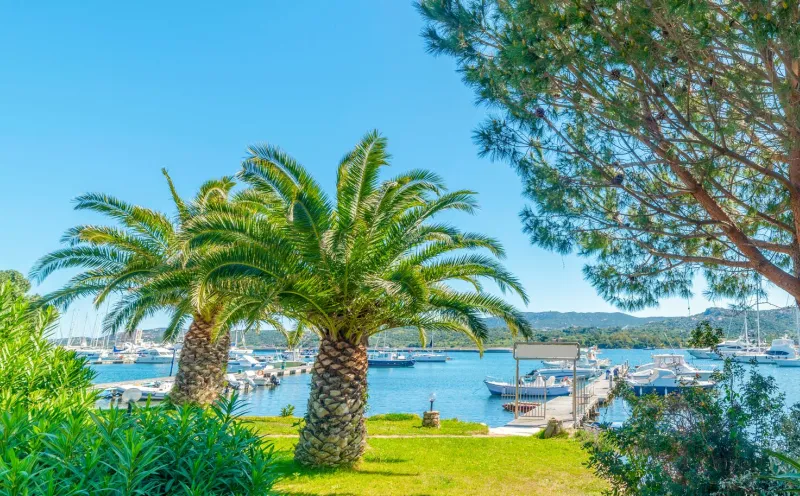 Small harbor in Cannigione