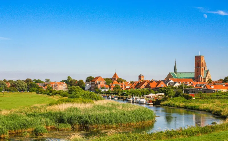 Ribe