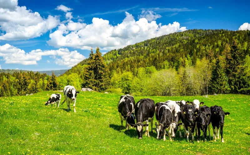 Ajoie, Jura, Switzerland