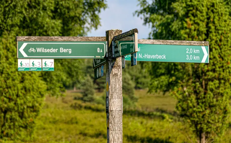 Excursion to the Wilseder hill