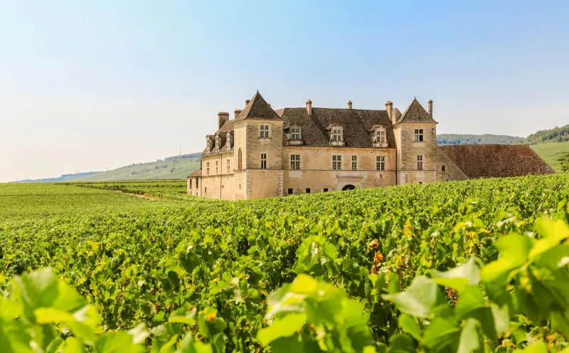 Château du Clos de Vougeot