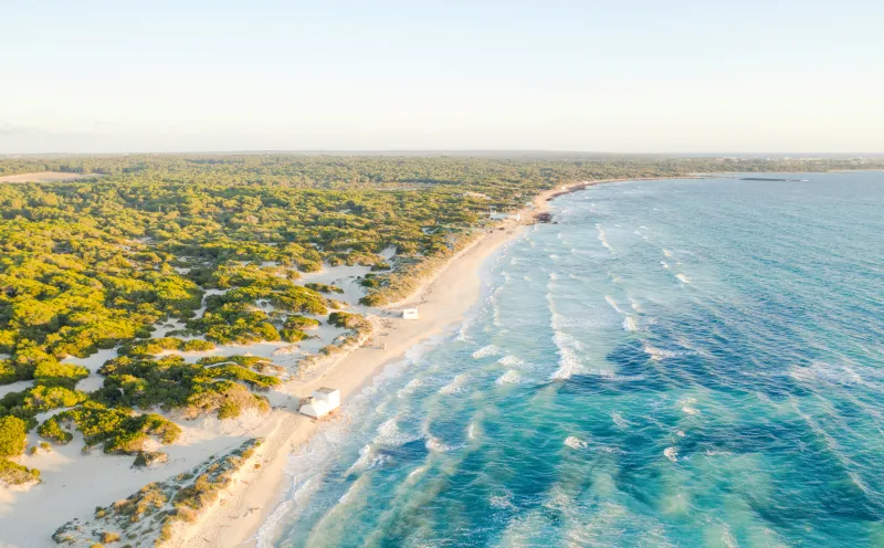 Es Trenc Beach