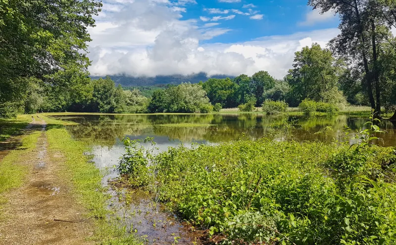 Great cycling vacation Switzerland
