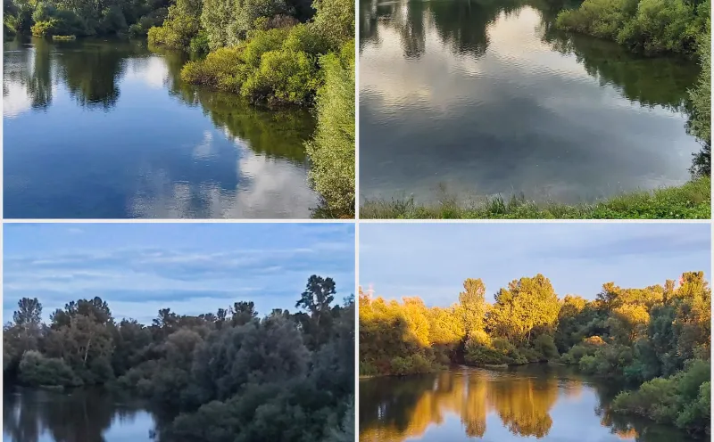 Rhine Valley cycle path