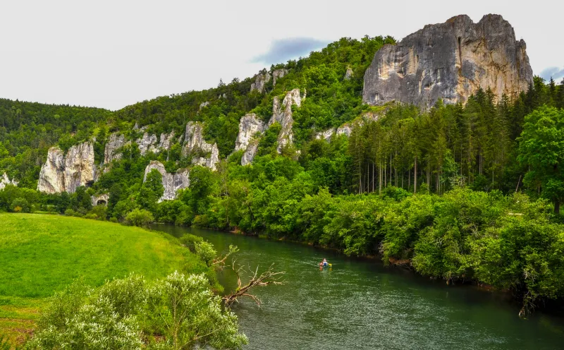 Young Danube