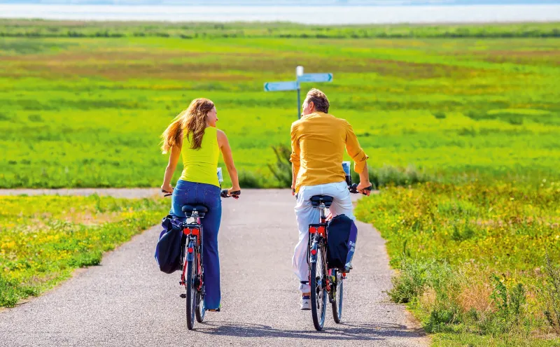 Cyclists near Ahrenshoop