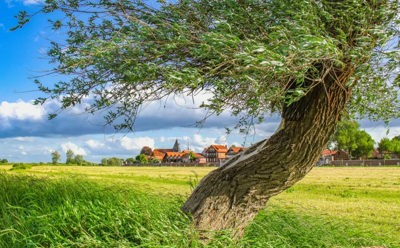 View from the banks of the Elbe to Hitzacker