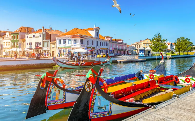 Moliceiro boats in Aveiro