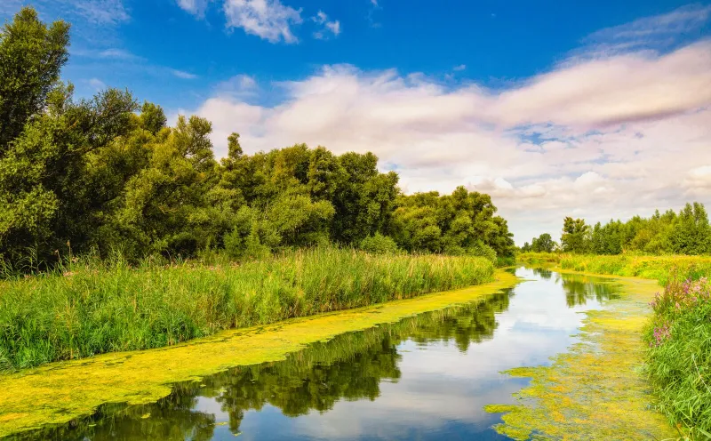 National park De Biesbosch