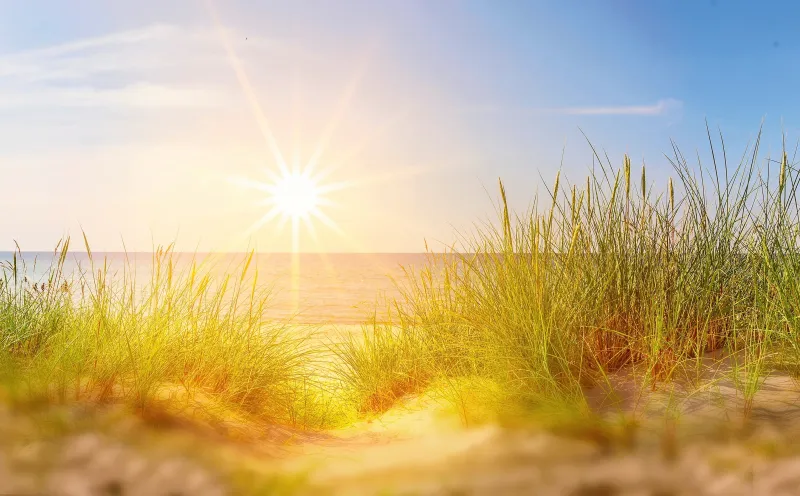 Sunset in the dunes
