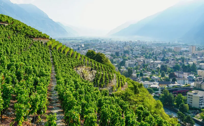 View of Martigny