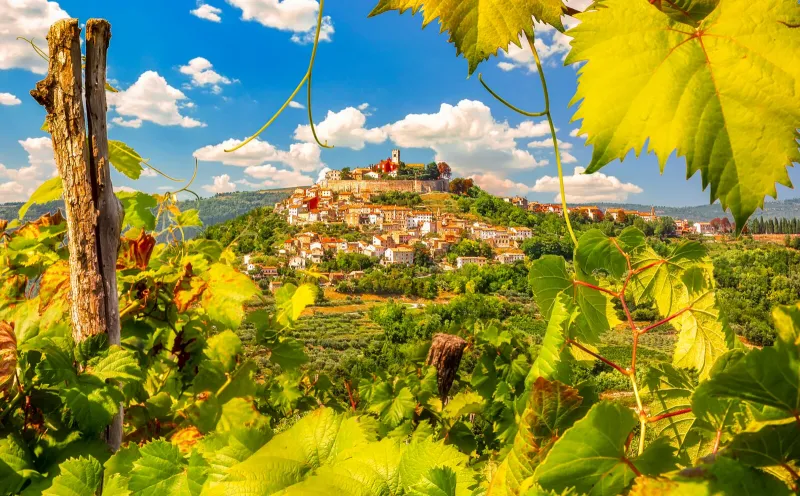 View of Motovun
