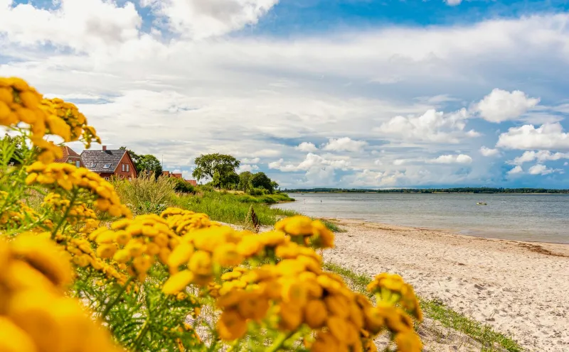 Beach in Bandholm