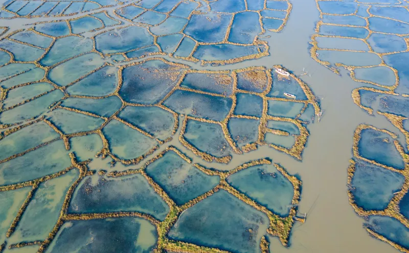 Marennes-Oléron basin