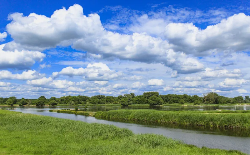 The primeval valley of the Elbe
