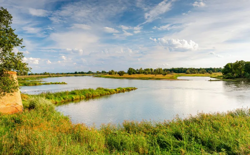 Oder landscape near Kostrzyn nad Odrą