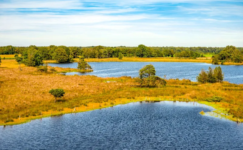 Turnhouts Vennengebied, Turnhout