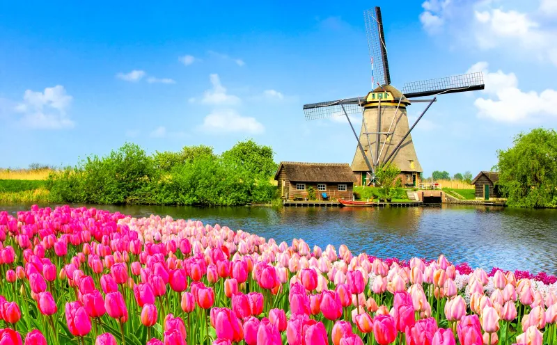 Kinderdijk, Windmills