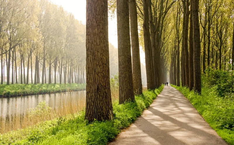 Cycle route in Flanders