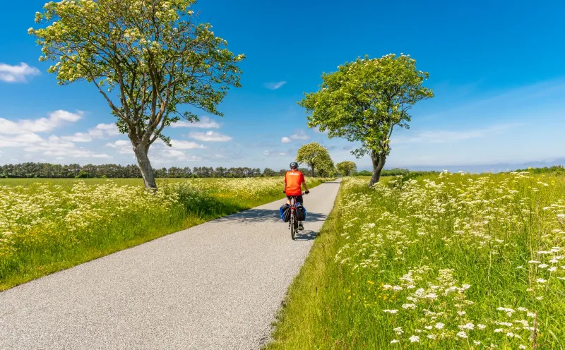 Cyclist in Denmark