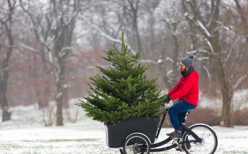 cargo bike with christmas tree