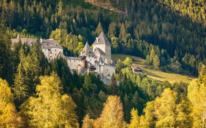 Moosham Castle, Wald