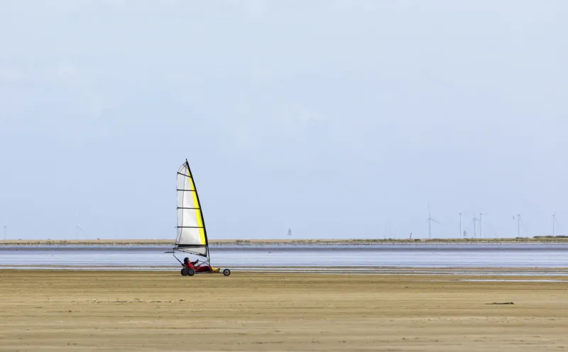 Beach sailor