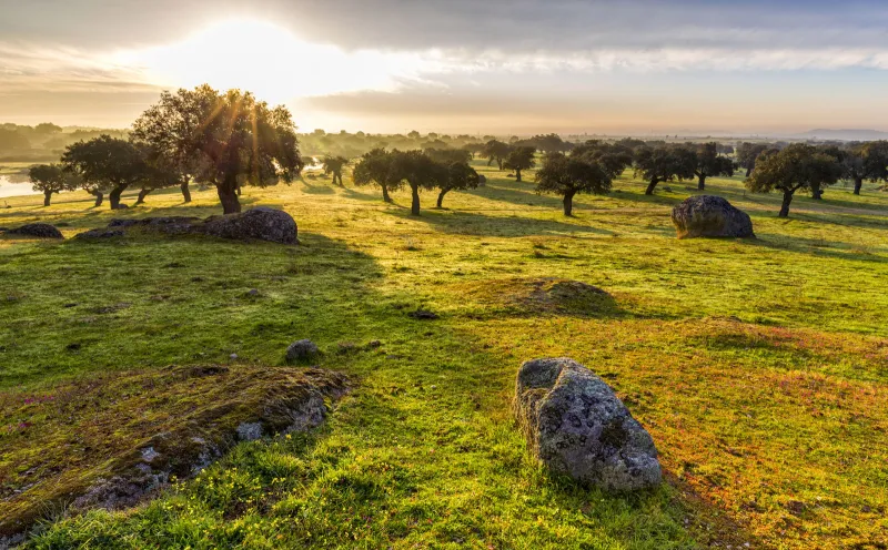 Arroyo de la Luz near Caceres