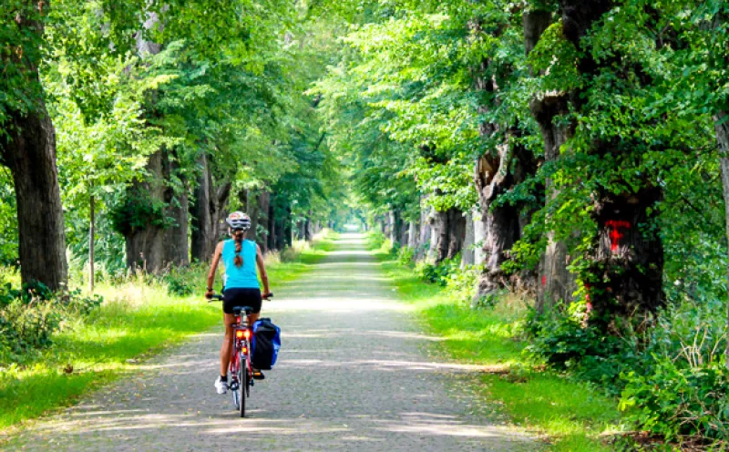 On the German Avenue