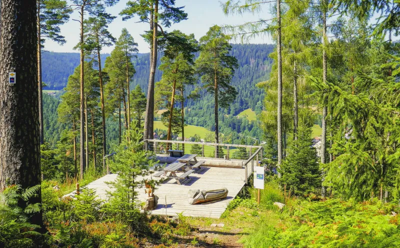 Enzklösterle viewing platform