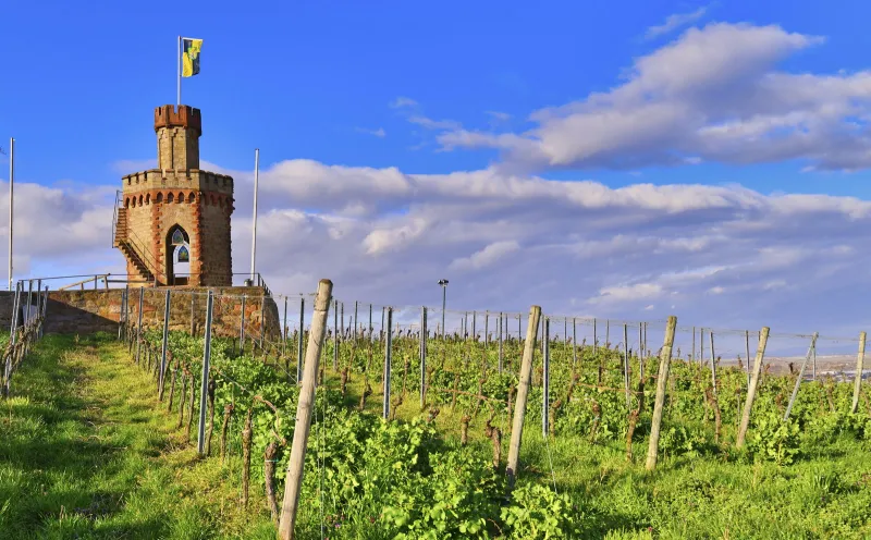 Weinstrasse, Bad Dürkheim