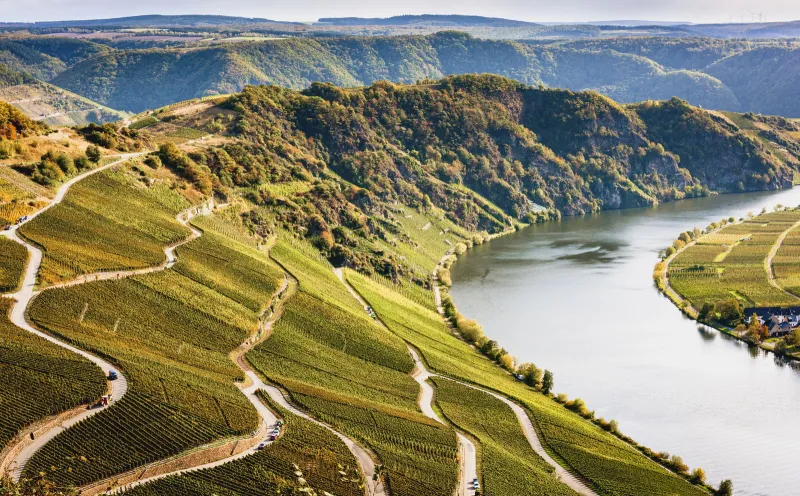 The banks of the Moselle near Piesport