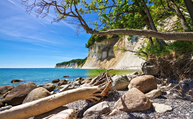 View of the chalk cliffs