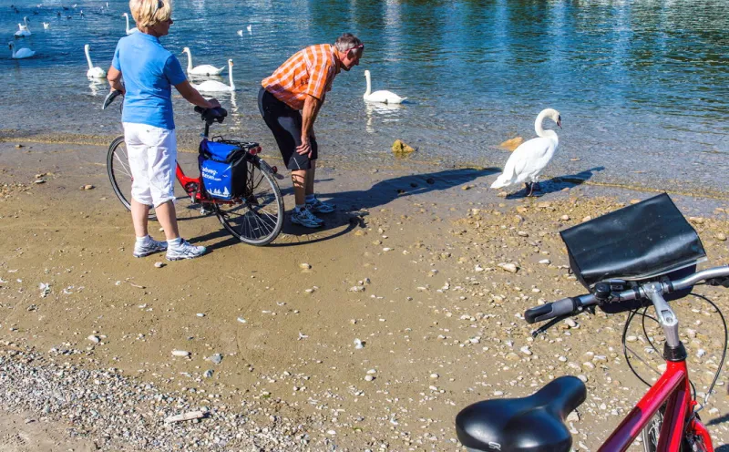 Breisach, Rhine, cyclist