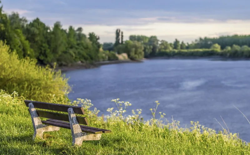 Dendermonde river bank ship