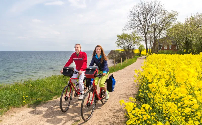 The Baltic Sea cycle path near Travemünde