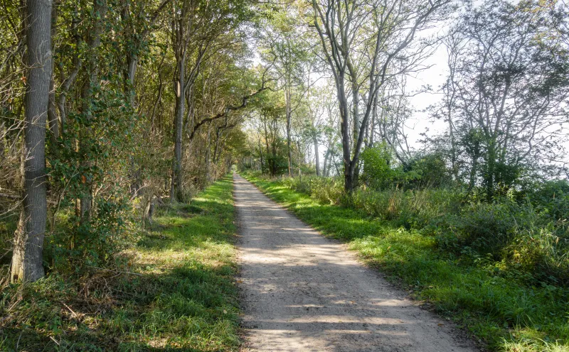 Cycle path island of Poel