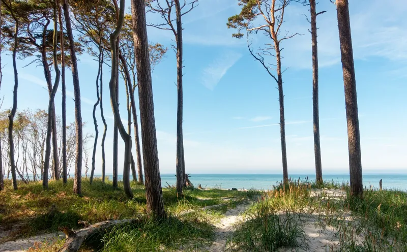 Western Pomerania Lagoon National Park