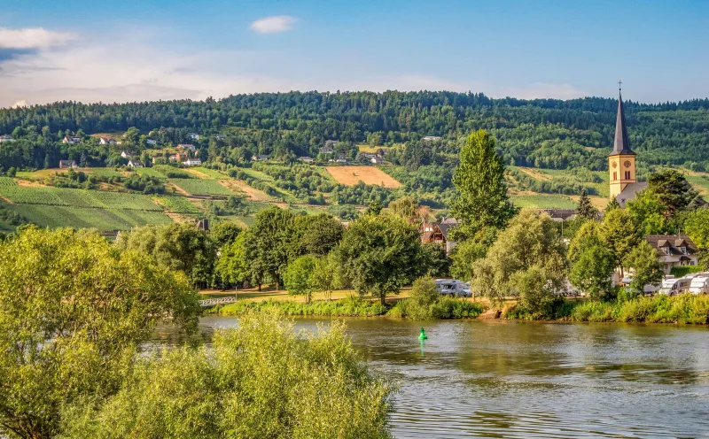 Moselle Cycle Route Classic, Trittenheim