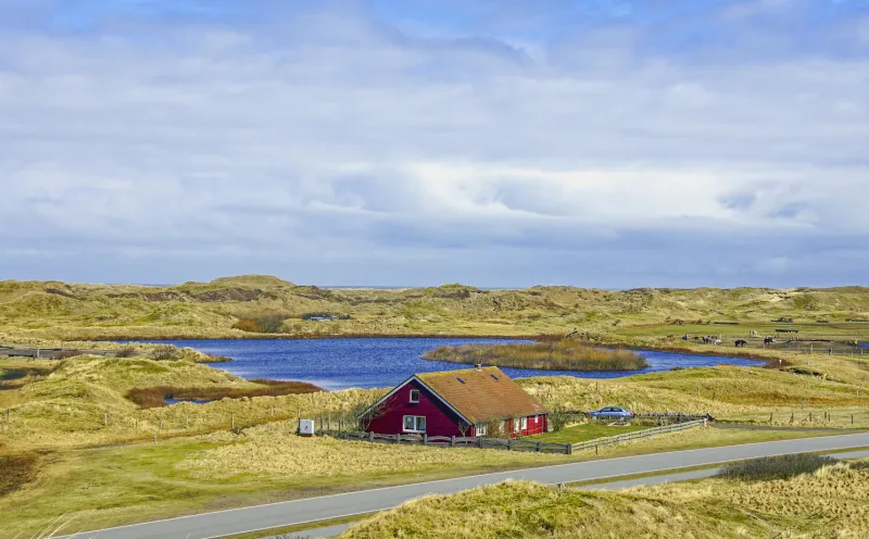 Dune landscape Norderney